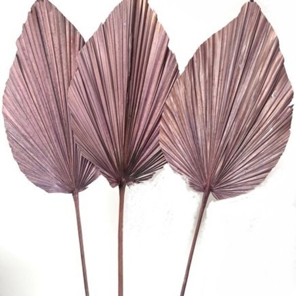 ANAHAW LEAF MED - Picture 6 of 9